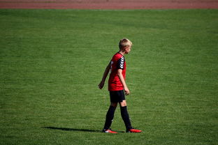 爱游戏体育官方入口-NBA球员训练方法创新，nba球员训练视频,篮球技术