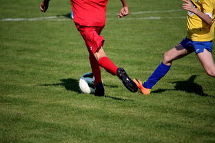 爱游戏在线娱乐官网-NBA球员训练计划优化设计，nba运动员训练计划